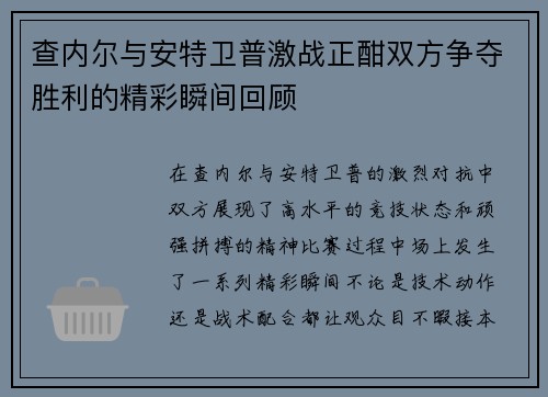 查内尔与安特卫普激战正酣双方争夺胜利的精彩瞬间回顾