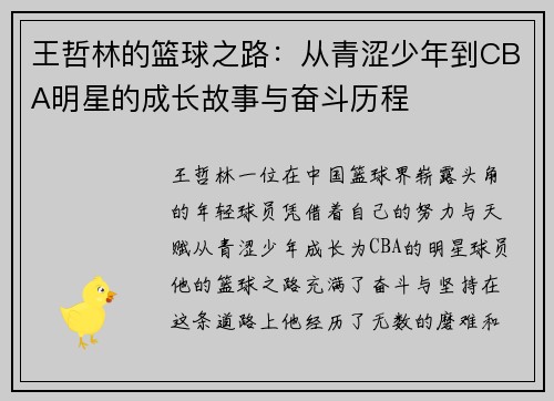 王哲林的篮球之路：从青涩少年到CBA明星的成长故事与奋斗历程